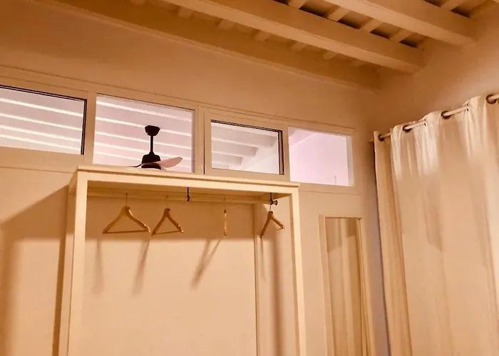 Disfruta, Nuevo En Mentidero * Cadiz