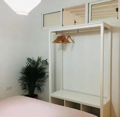 Disfruta, Nuevo En Mentidero * Cádiz